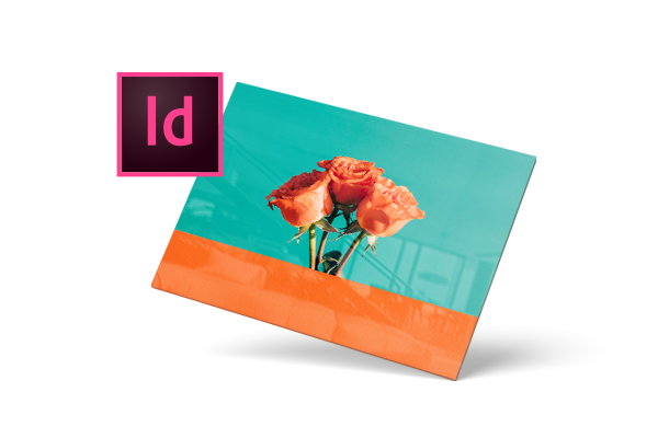 Plug-in voor Adobe InDesign
